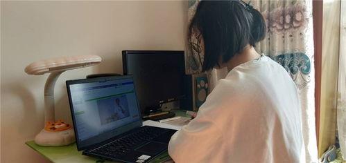学生初体验在线播放,学生体验在线播放的全新视角